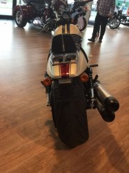 HARLEY 1.jpg