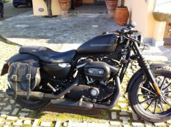 Harley 883.JPG